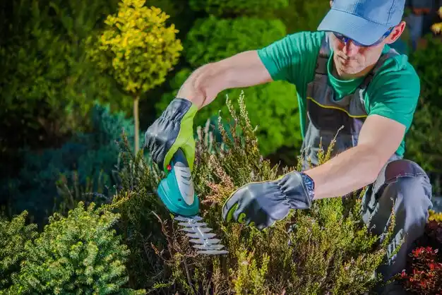 landscaping services Frankfort